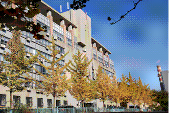 教学楼-全
